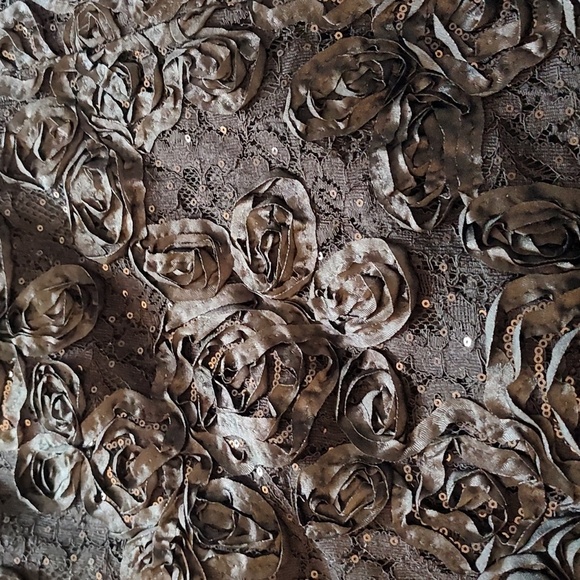 Alex Evenings Floor Length Evening Gown Black Size 20 W Rosette Ribbon Skirt - Picture 5 of 17